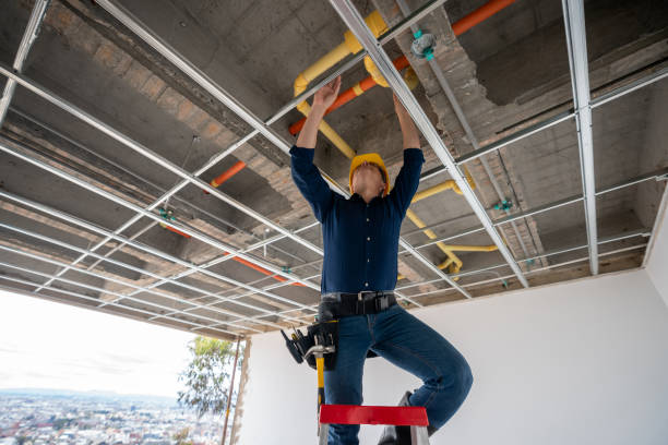 Best Local Plumber Services  in Lampasas, TX
